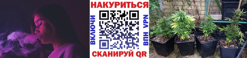 Марихуана сатива  Дзержинск 